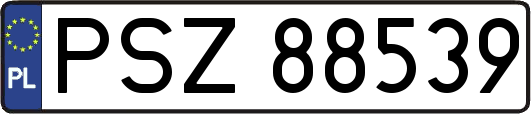 PSZ88539