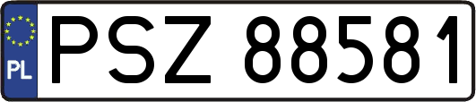 PSZ88581