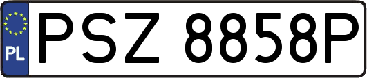 PSZ8858P