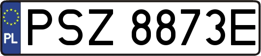 PSZ8873E