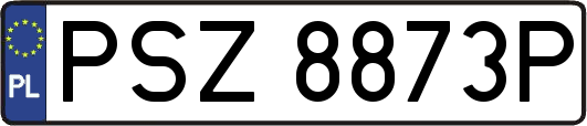 PSZ8873P
