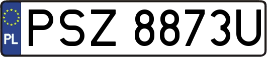 PSZ8873U