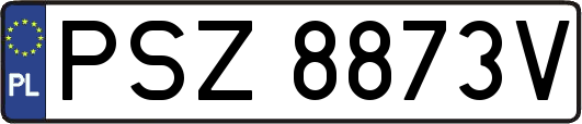 PSZ8873V
