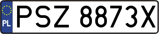 PSZ8873X