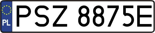 PSZ8875E