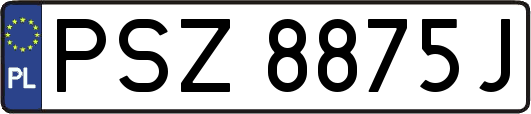 PSZ8875J