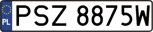 PSZ8875W
