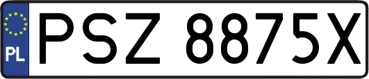 PSZ8875X