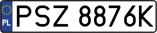 PSZ8876K