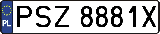 PSZ8881X