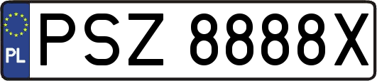 PSZ8888X