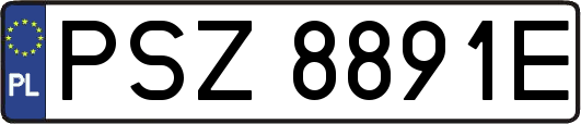 PSZ8891E