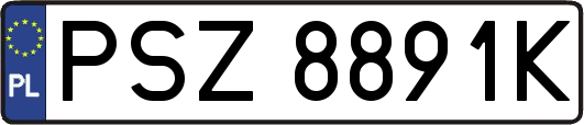 PSZ8891K