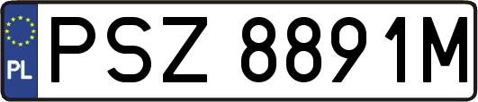 PSZ8891M