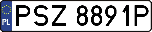 PSZ8891P
