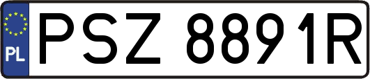 PSZ8891R