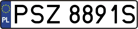 PSZ8891S