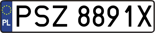 PSZ8891X