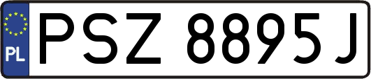 PSZ8895J