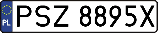 PSZ8895X