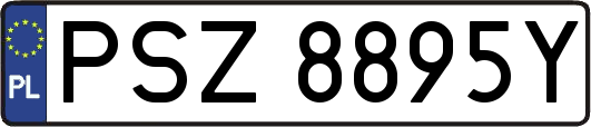 PSZ8895Y