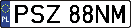 PSZ88NM