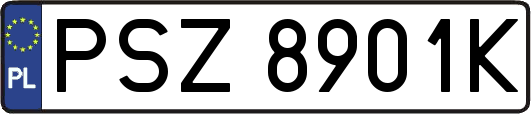 PSZ8901K