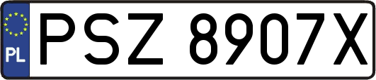 PSZ8907X