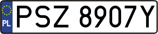 PSZ8907Y