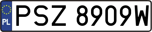 PSZ8909W