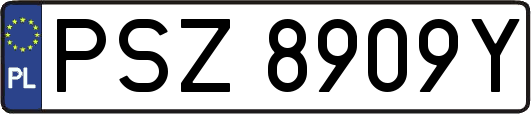PSZ8909Y