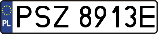 PSZ8913E