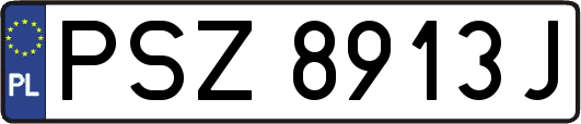 PSZ8913J