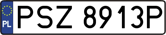 PSZ8913P
