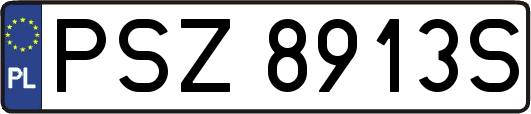 PSZ8913S