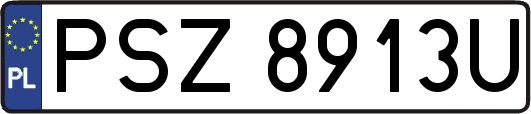 PSZ8913U