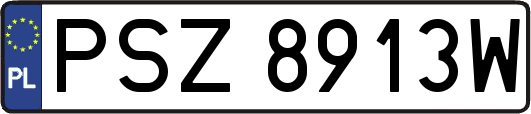 PSZ8913W