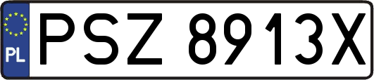PSZ8913X