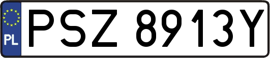 PSZ8913Y