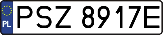 PSZ8917E