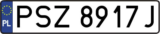 PSZ8917J