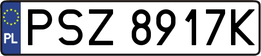 PSZ8917K