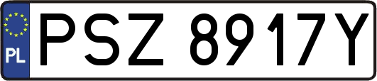 PSZ8917Y