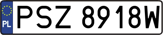 PSZ8918W