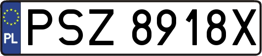 PSZ8918X