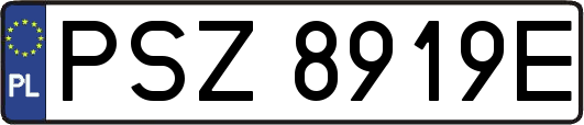 PSZ8919E