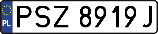 PSZ8919J