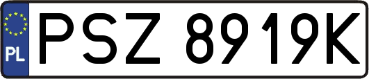 PSZ8919K