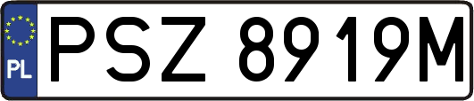 PSZ8919M