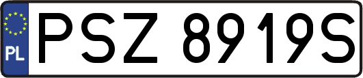 PSZ8919S